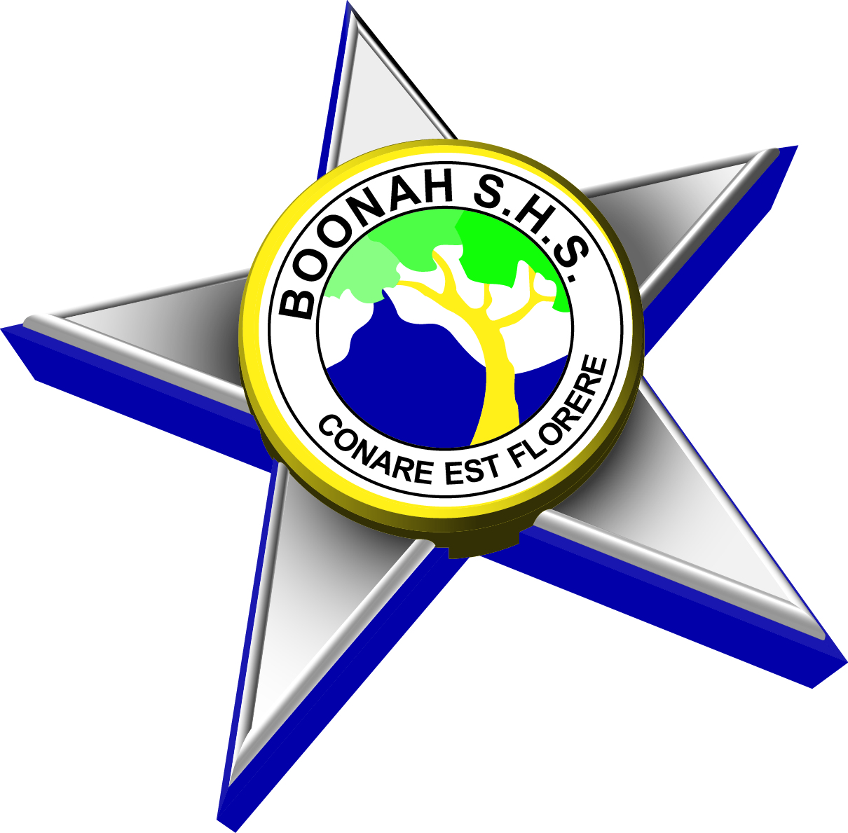 BOONAH SHS Logo PMS.jpg
